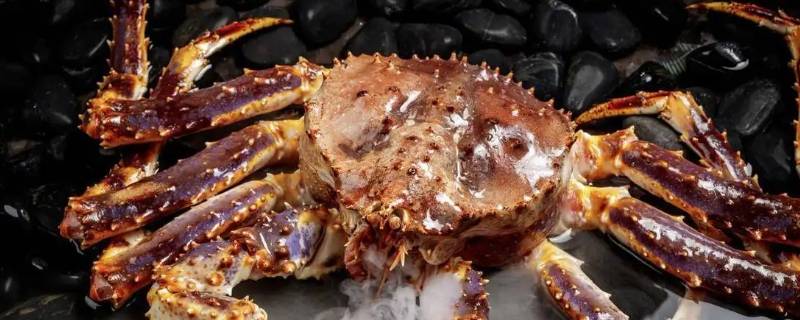 帝王蟹多少钱一斤市场价2022 帝王蟹多少钱一斤市场价