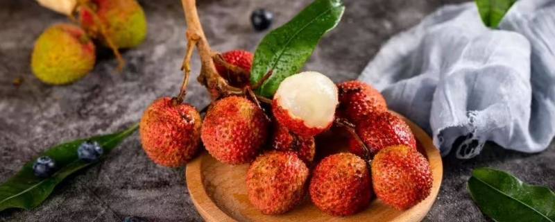 荔枝个头相当于什么（荔枝个头相当于什么?）