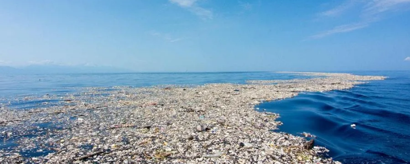 白色污染的元凶的组成是 白色污染的元凶的组成是什么