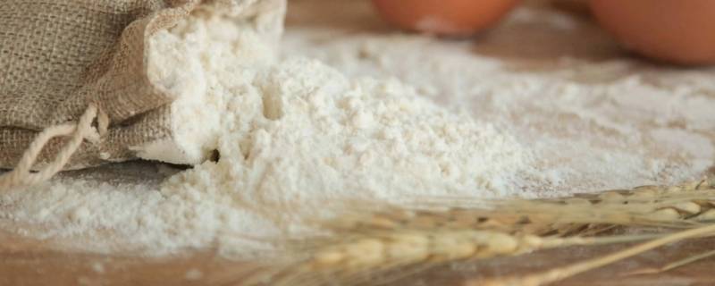 买面粉主要看什么指标 选面粉的标准