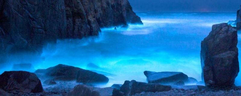 中国哪些地方有蓝眼泪（中国的蓝眼泪在哪里）