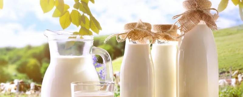 鲜奶怎么做 鲜奶怎么做酸奶