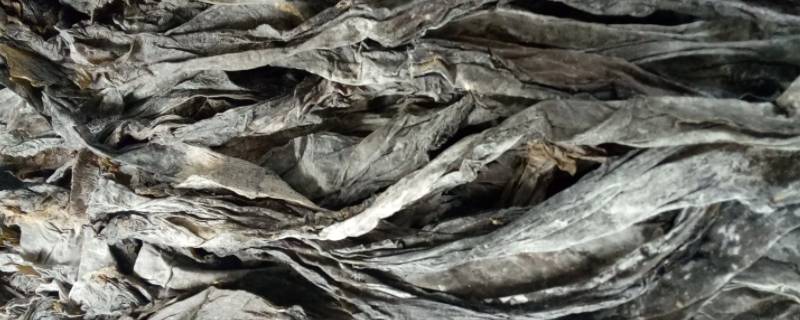 刚买来的大片海带怎么处理（买回来大片的海带怎么处理）