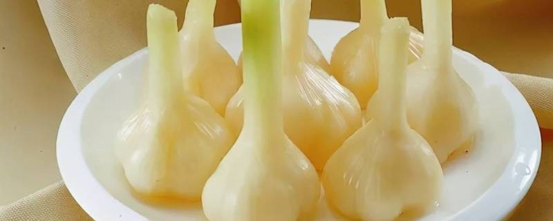 野蒜头怎么腌制好吃 野蒜头怎么腌制好吃窍门