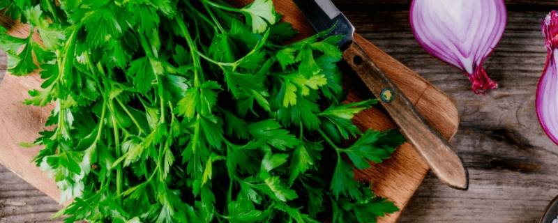 欧芹和芹菜的区别（欧芹和芹菜的区别图片）