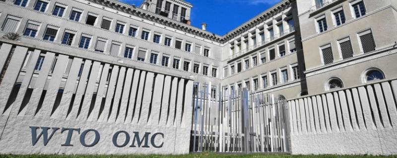 世界三大经济组织是（世界三大经济组织是什么）