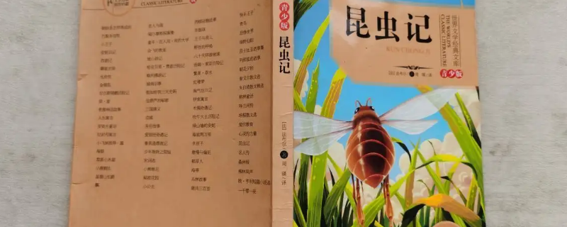 昆虫记读后感简短 法布尔昆虫记读后感简短