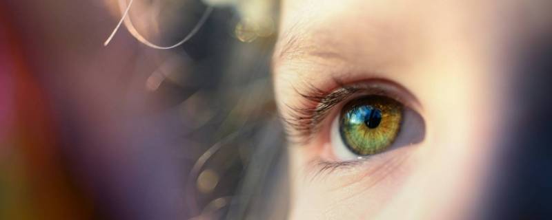 视觉形成的部位 视觉形成的部位是视网膜吗