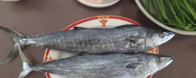 晒干的鲅鱼怎么做好吃 晒干的鲅鱼怎么做好吃窍门