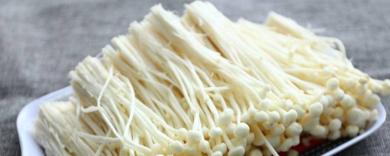 金针菇菇杆上长白毛（金针菇菇杆上长白毛还能吃吗）