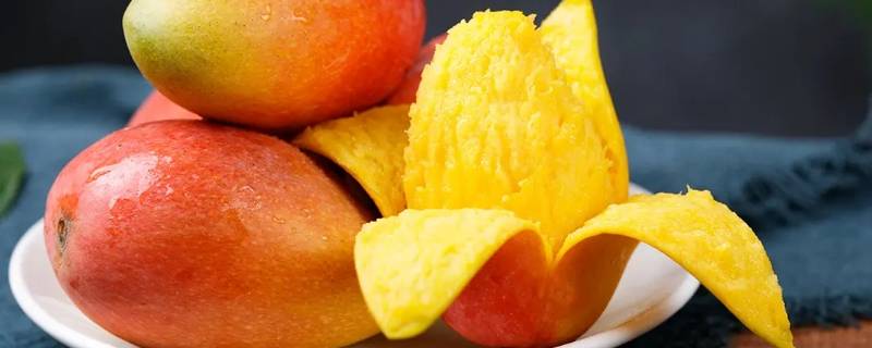芒果凉性经期能吃吗（芒果凉性经期能吃吗）