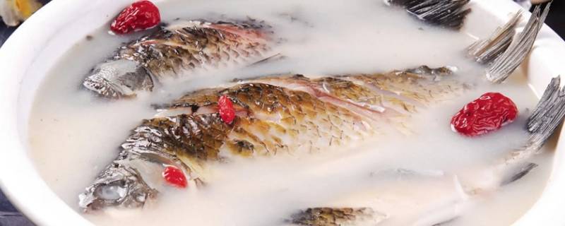 鱼汤里忌讳放什么菜（鱼汤里忌讳放什么菜呢）