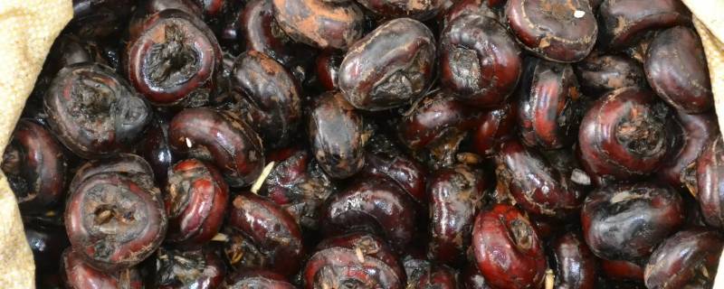 来大姨妈能不能吃荸荠 来大姨妈能不能吃荸荠菜