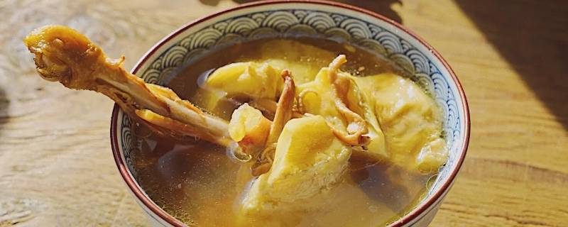 鸡可以炖什么（鸡可以炖什么汤）