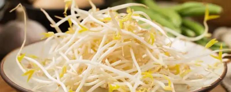 陈黄豆能生豆芽吗（陈黄豆能生豆芽吗）