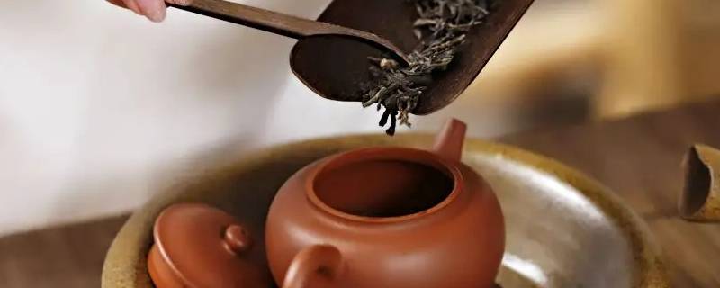 正确的泡茶七个步骤口诀 泡茶的基本手法