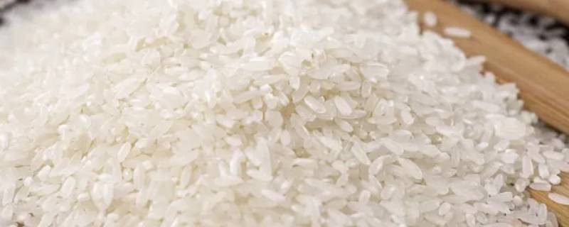 大米一级二级三级区别 大米一级二级三级有啥区别