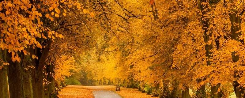 采秋的正确时间（采秋时间是）