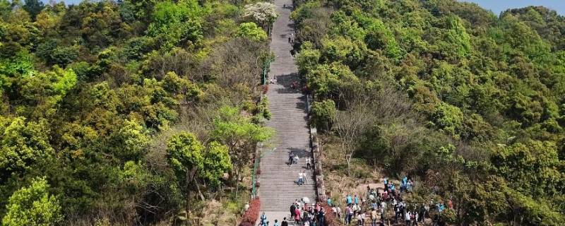 萧山哪里可以挖笋 萧山哪里可以挖笋丝