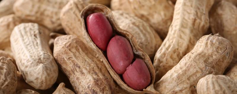 花生用冷水还是热水泡 花生要用冷水还是热水泡