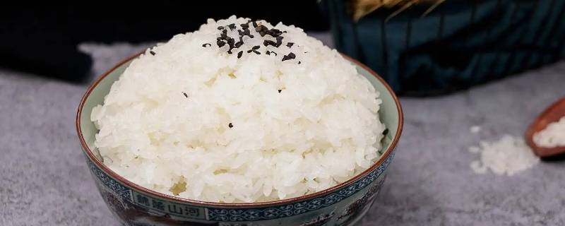 一碗米饭多少克碳水（一碗米饭多少克碳水蛋白质）