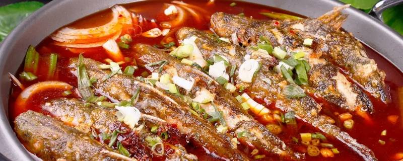 家常红烧鮥鱼的做法窍门 红烧鲐鱼的做法窍门