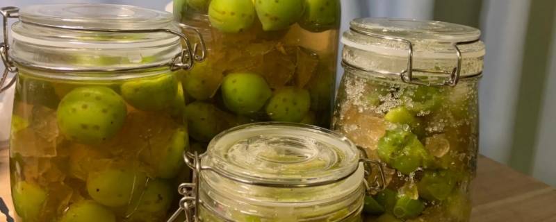 梅子露的做法（梅子露的做法和功效与作用）