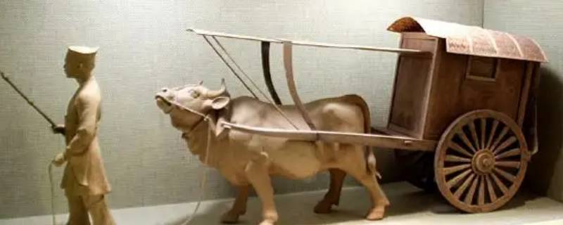 霜叶红猜什么动物 霜叶打一动物