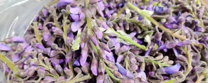 紫色桐花菜怎么做好吃 紫色桐花菜怎么做好吃窍门