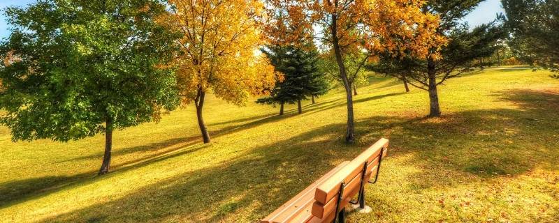沙暖睡鸳鸯是描写秋天的吗（沙暖睡鸳鸯这句话是什么景）