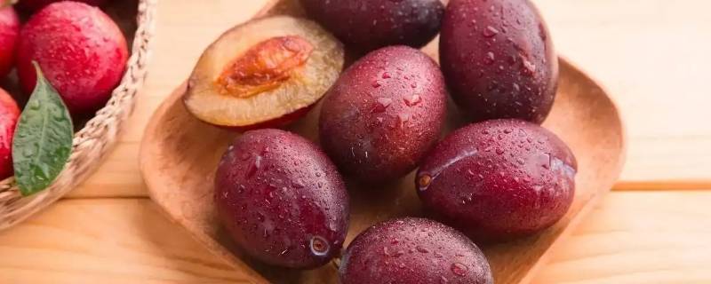 李子和西梅的区别是什么（西梅李子和西梅的区别）