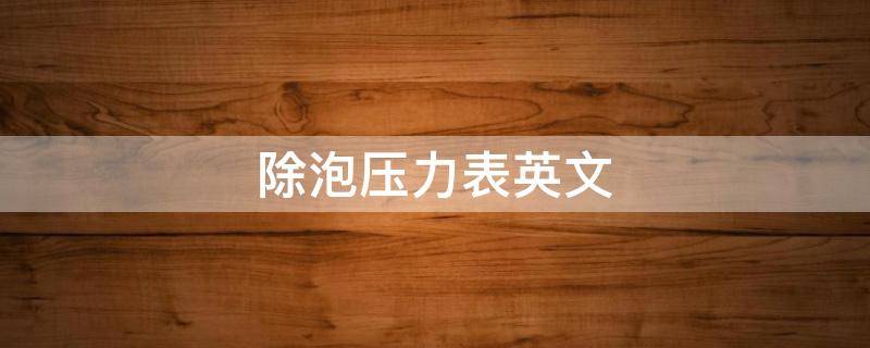 除泡压力表英文 pa压力表