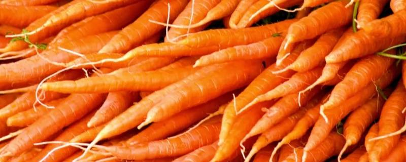 水果胡萝卜的利弊 水果萝卜的好处