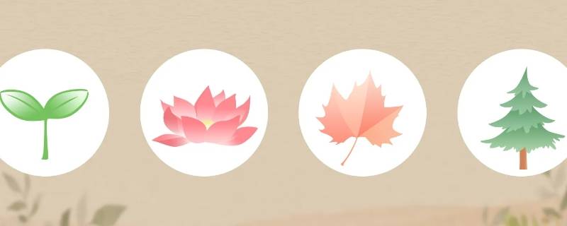 春秋冬夏和春夏秋冬的区别 春秋冬夏和春夏秋冬的区别幼儿