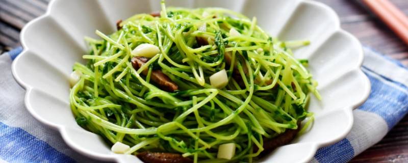豌豆芽苗怎么炒好吃 豌豆苗炒豆芽