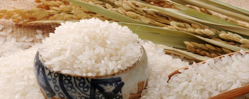 一杯米多少克 电饭锅送的量米杯一杯米多少克