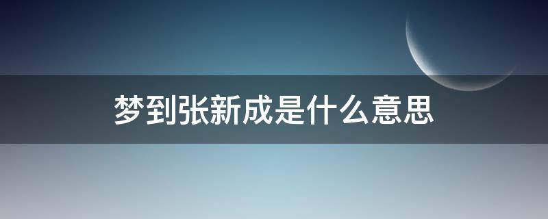 梦到张新成是什么意思 张新成网易有道词典