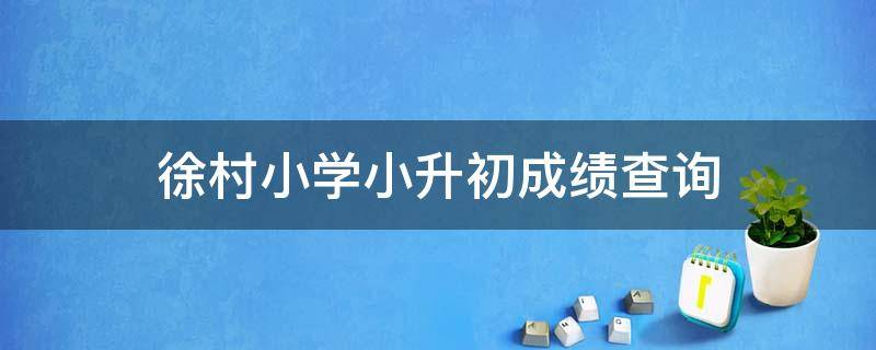 徐村小学小升初成绩查询 徐州小学成绩查询