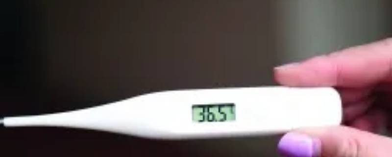 体温表本人状况写正常还是良好（体温情况填写数字还是正常）
