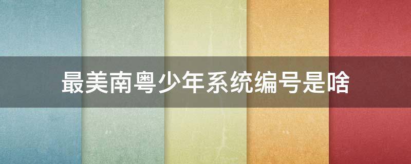 最美南粤少年系统编号是啥