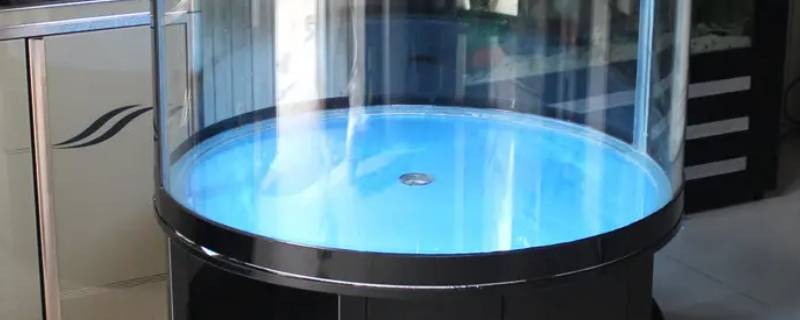 十大不建议买的鱼缸（想买个鱼缸,什么样的比较好）