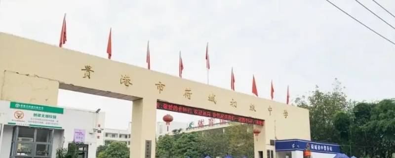 贵港荷城初中招生范围 贵港荷城初中招生范围图