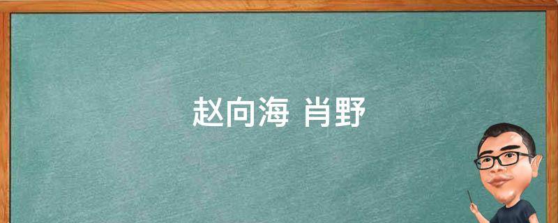 赵向海 赵海旭