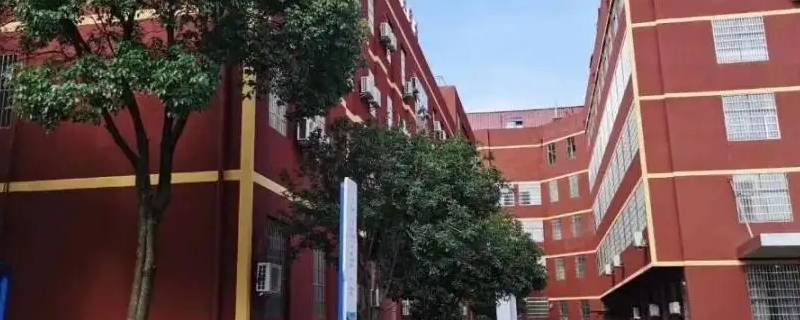 陈立农毕业于哪所大学 陈立农是哪所大学毕业的