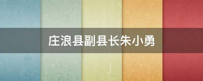 庄浪县副县长朱小勇（庄浪县刘俊明）