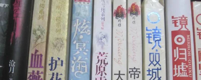 傅司年许落嘉小说（许倾心 陆司寒）