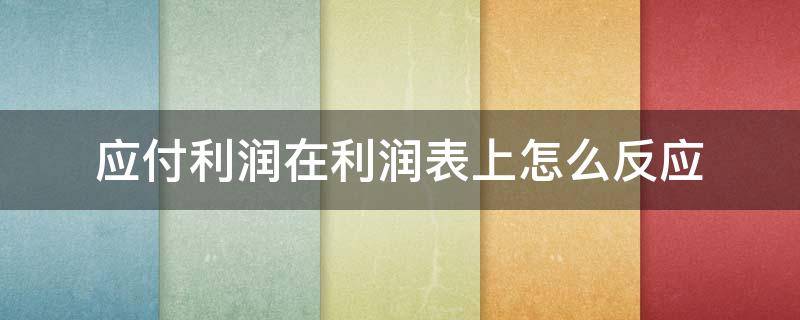 应付利润在利润表上怎么反应（应付工资在利润表里反应吗）