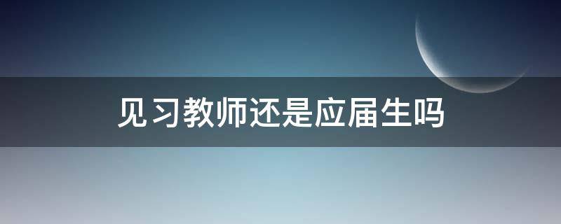 见习教师还是应届生吗
