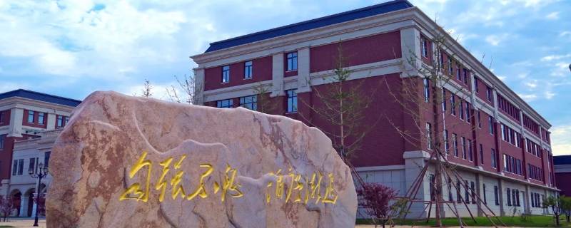 辽宁理工职业大学教务处（辽宁理工职业大学教务处值班表）