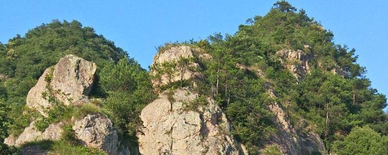 东阳黄腾岩简介（东阳杨岩背）